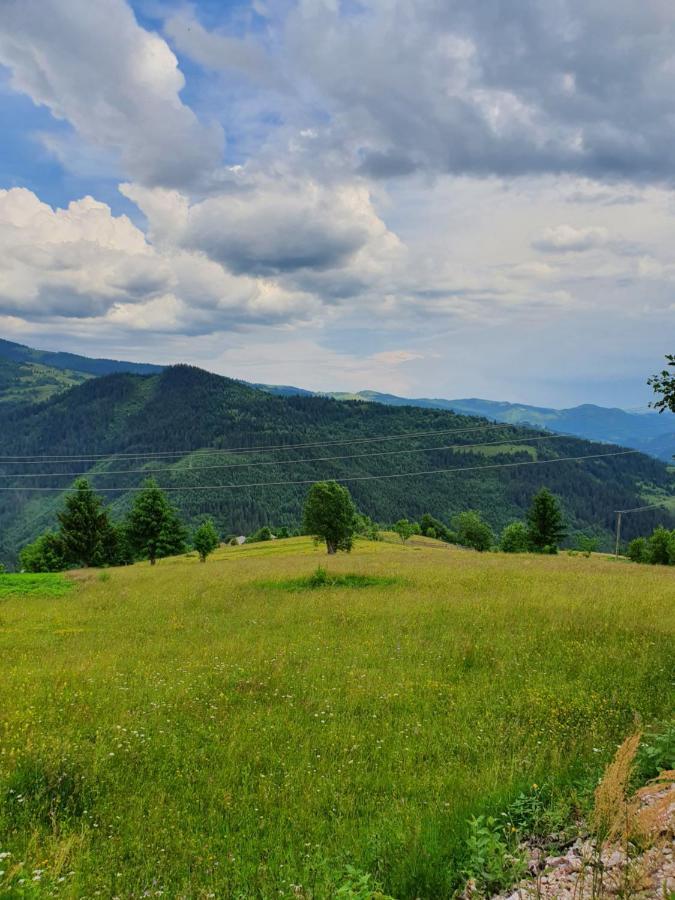 Pensiune Agroturistica Casa Alex Baba Dış mekan fotoğraf