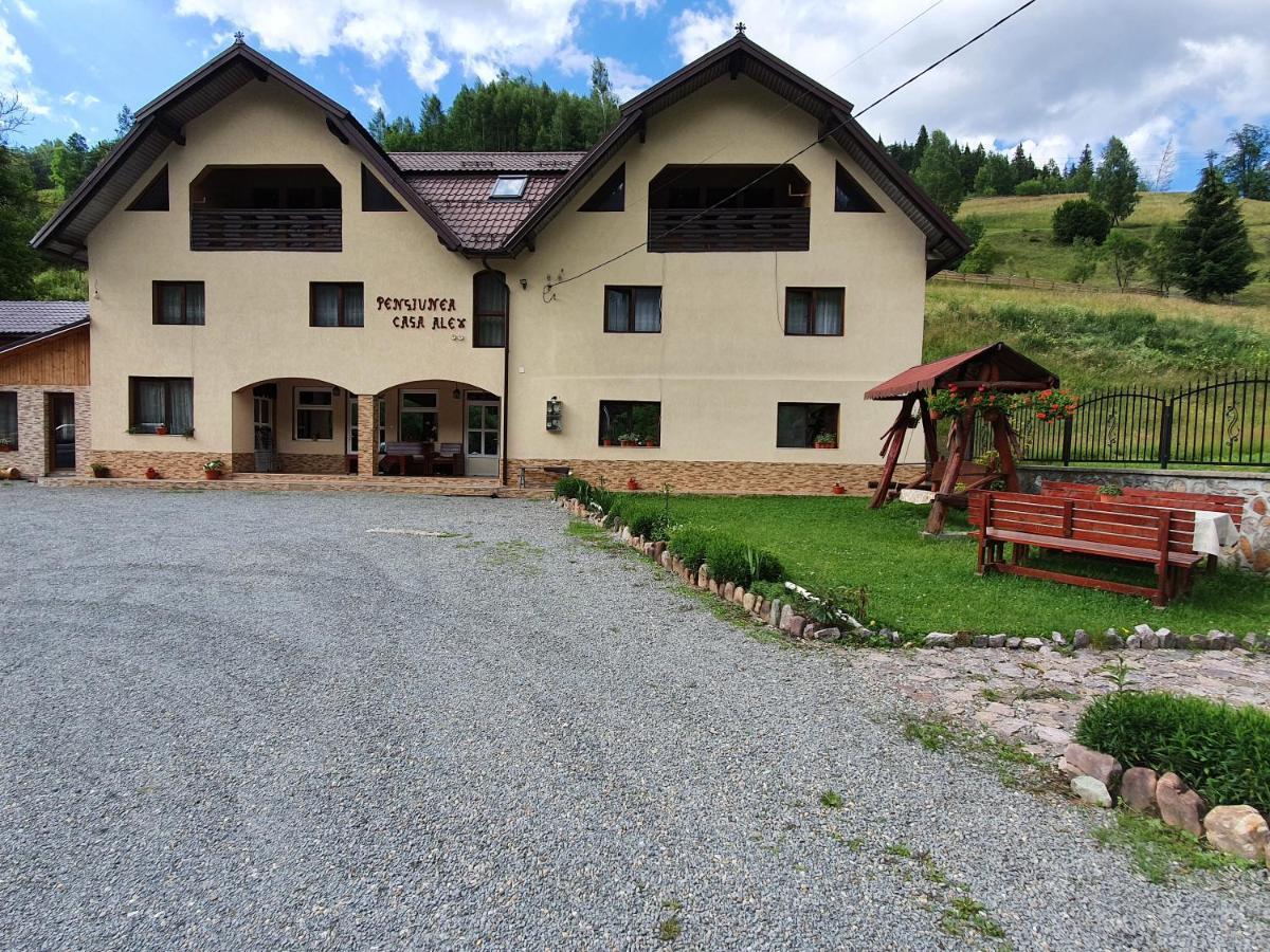 Pensiune Agroturistica Casa Alex Baba Dış mekan fotoğraf