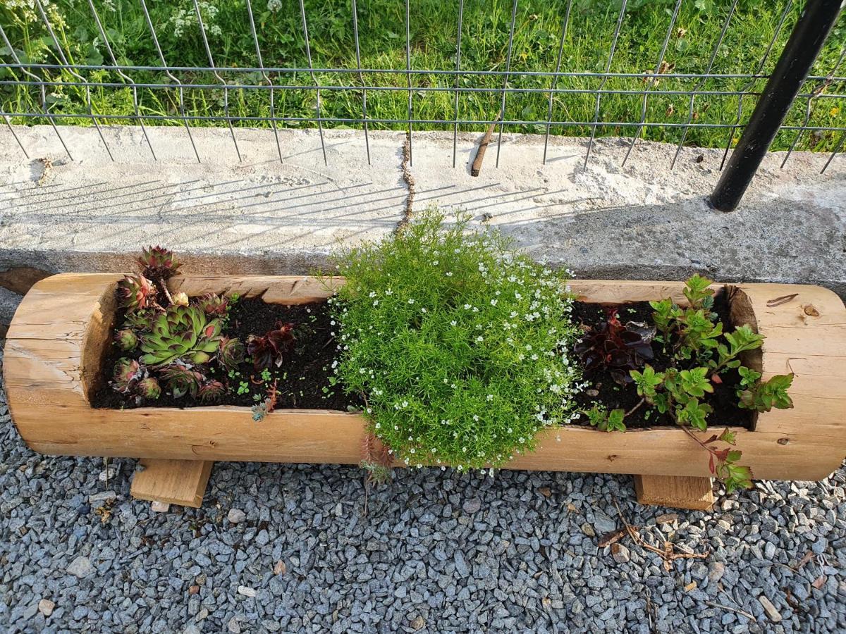 Pensiune Agroturistica Casa Alex Baba Dış mekan fotoğraf